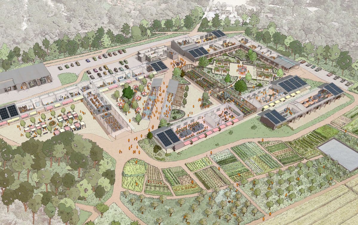 Ibiza Régénère : Juntos Farm, Tierra Iris et Terra Viva — Quand l'Île Fait Peau Neuve