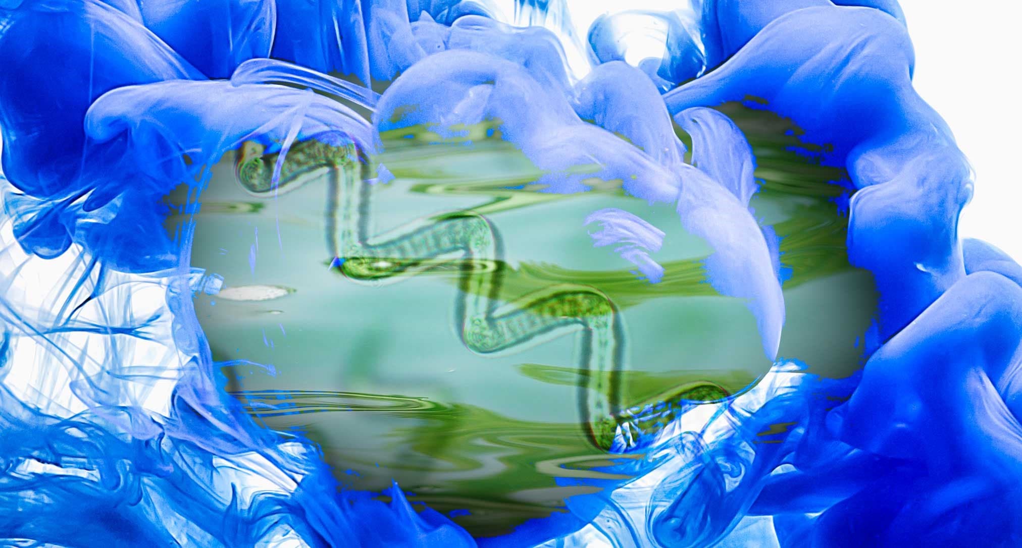 Spiruline Bleue : L'Alimentation Cosmique des Océans Primordiaux