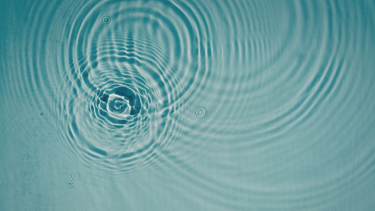 Illustration d'un corps humain entouré de plantes médicinales symbolisant la force vitale et l'auto-guérison