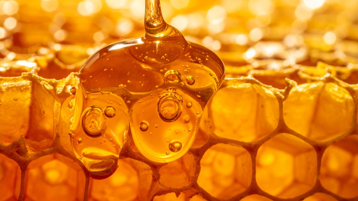 Dattes medjool, fruits frais et miel cru disposés sur une table en bois